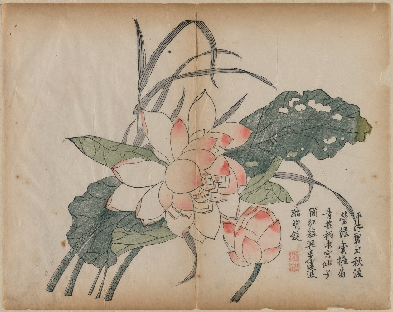Bloeiende Lotus en Knop door Unknown artist