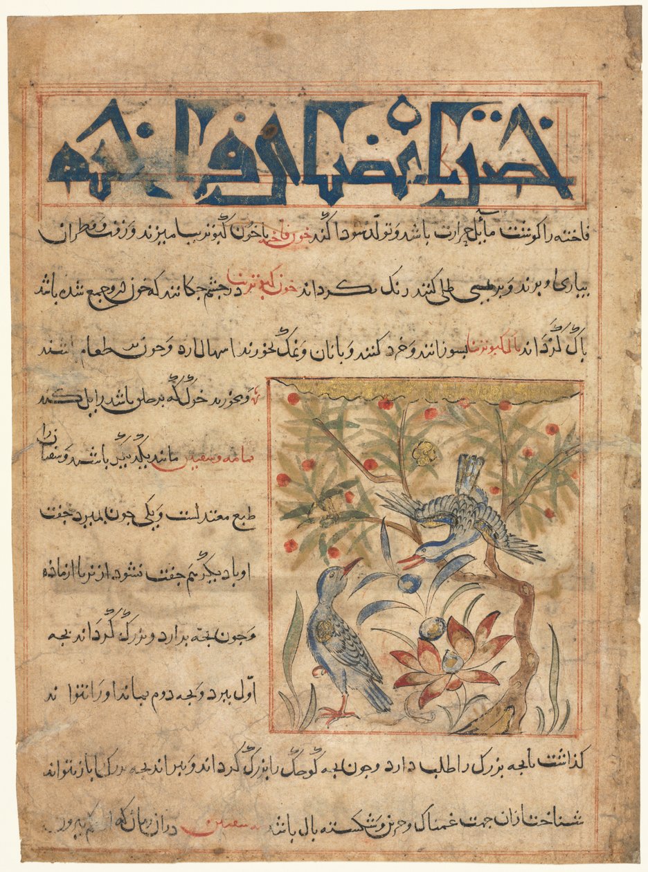 Folio uit een Perzische Manafi‘ al-Hayawan (De Voordelen van Dieren) van Abu Said Ubaid-Allah ibn Jibrail ibn Bakhtishu (overleden 1058–68) (recto) door Unknown artist