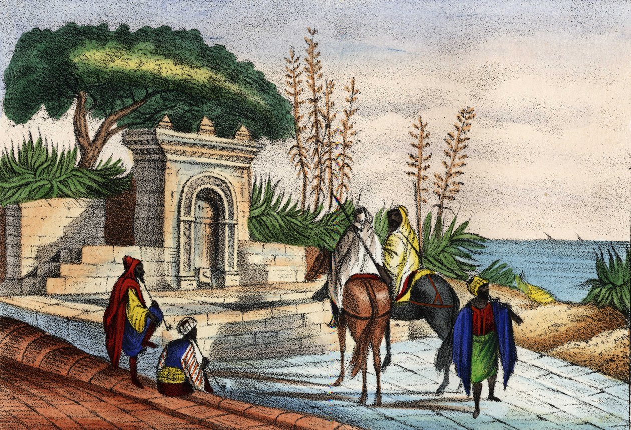 Fontein bij Algiers door Unknown artist