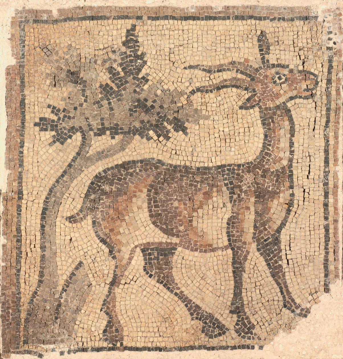 Fragment van een vloermozaïek: Steenbok bij een boom door Unknown artist
