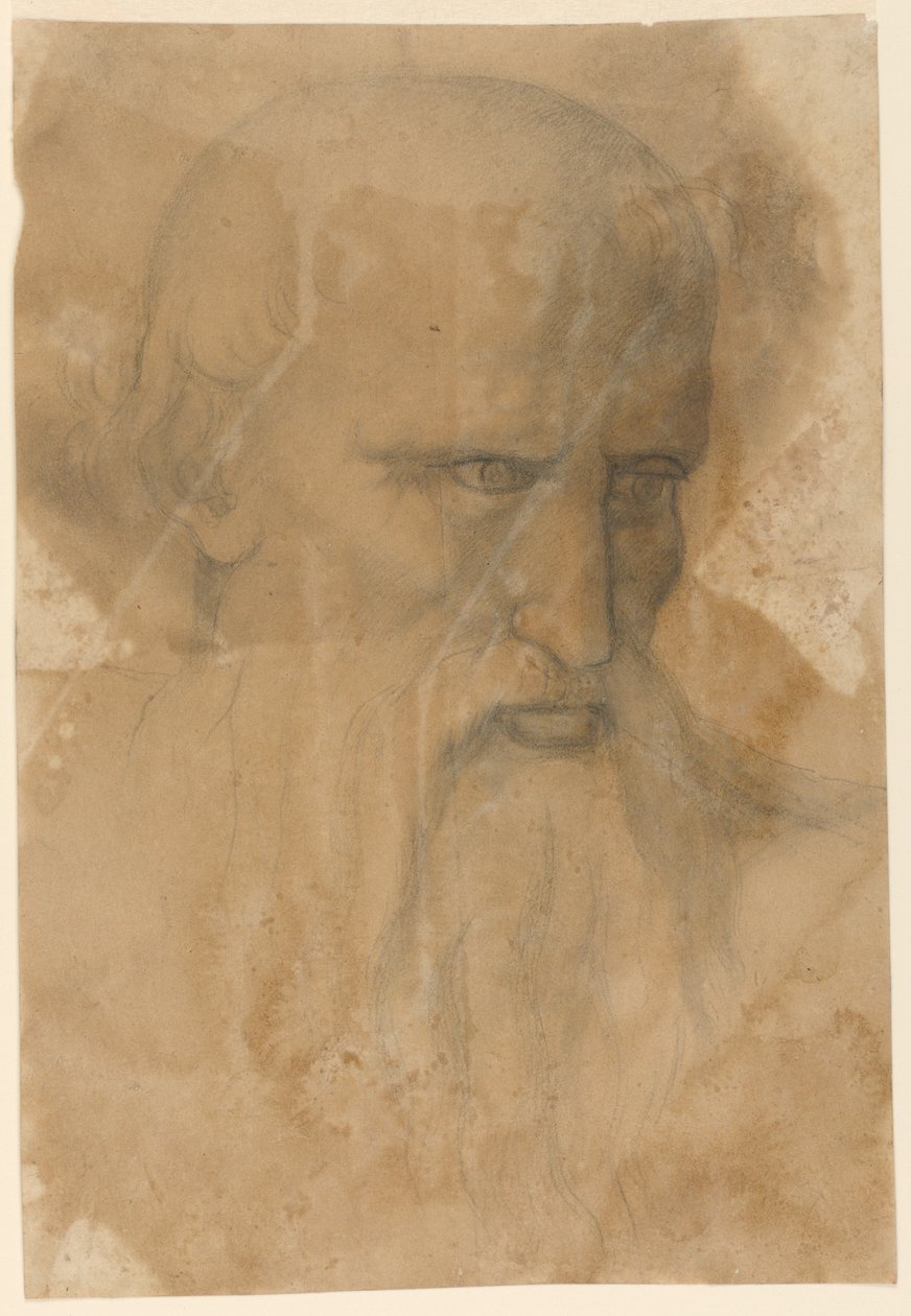 Hoofd van een bebaarde oudere man door Unknown artist