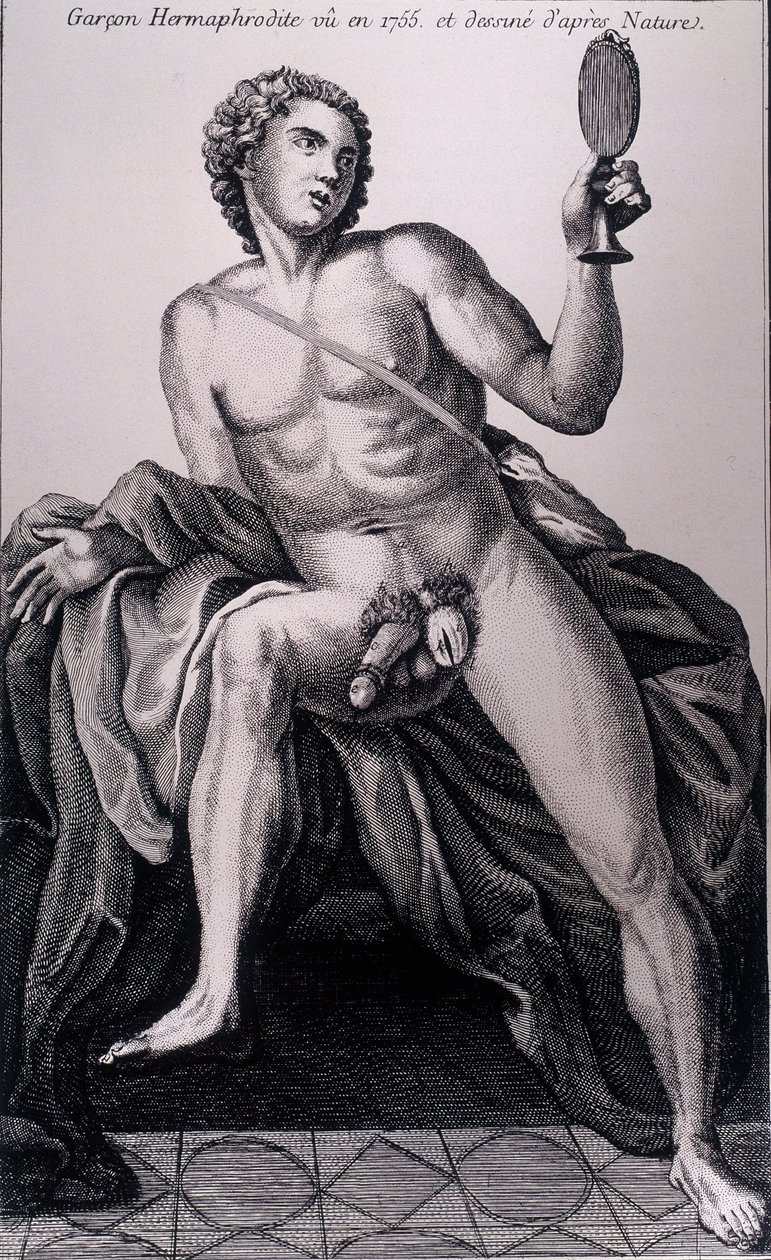 Hermafrodiete jongen gezien in 1755 en getekend naar de natuur door Unknown artist