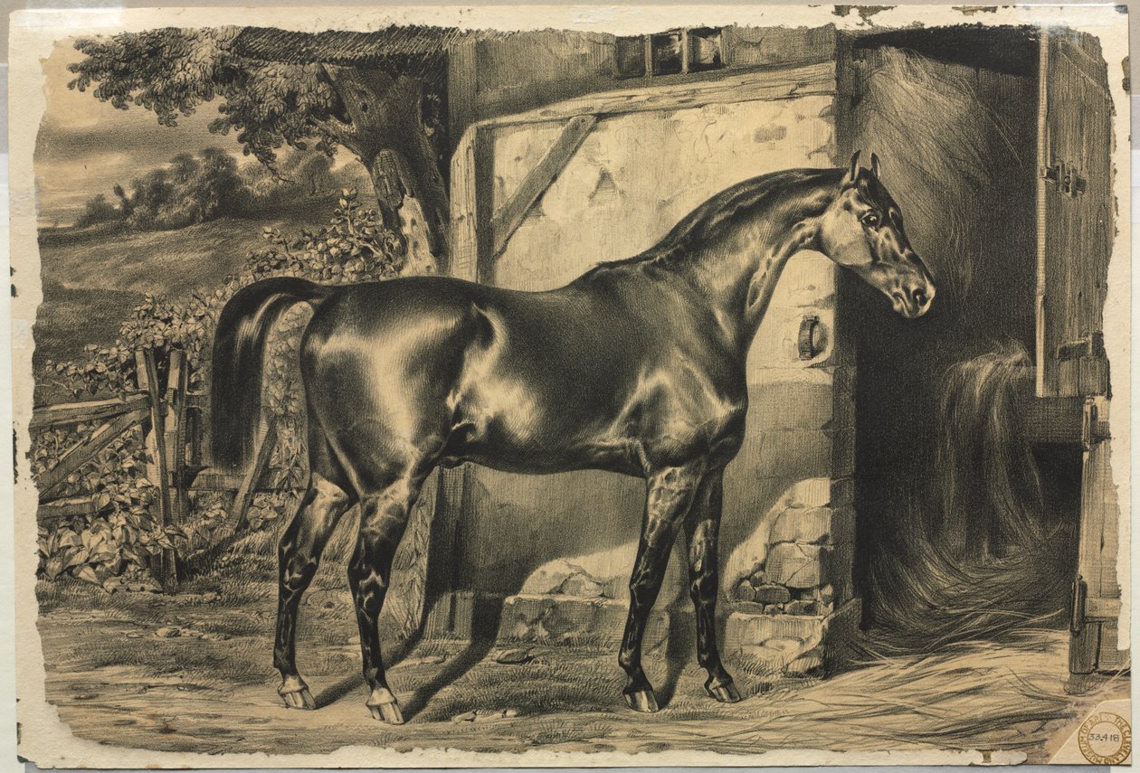 Paard voor een schuur (verso) door Unknown artist