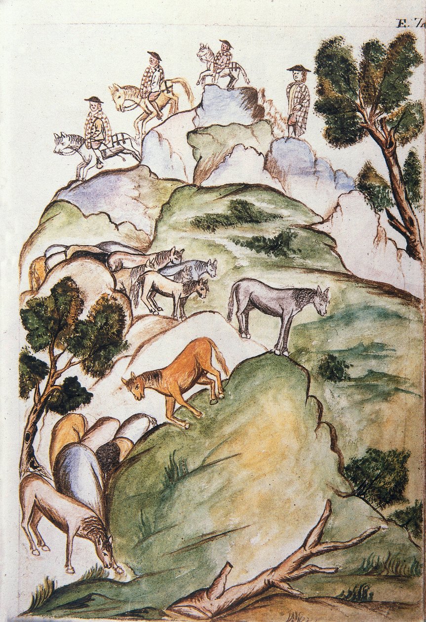 Paardenhoeders omsingelen merries in de bergen om ze te vangen, uit het boek "Trujillo del Peru" of "Códice Martínez Compañón", door Baltazar Martinez Compañón y Bujanda, bisschop van Trujillo (1782-1785) door Unknown artist