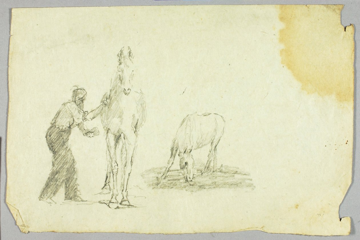 Paarden door Unknown artist