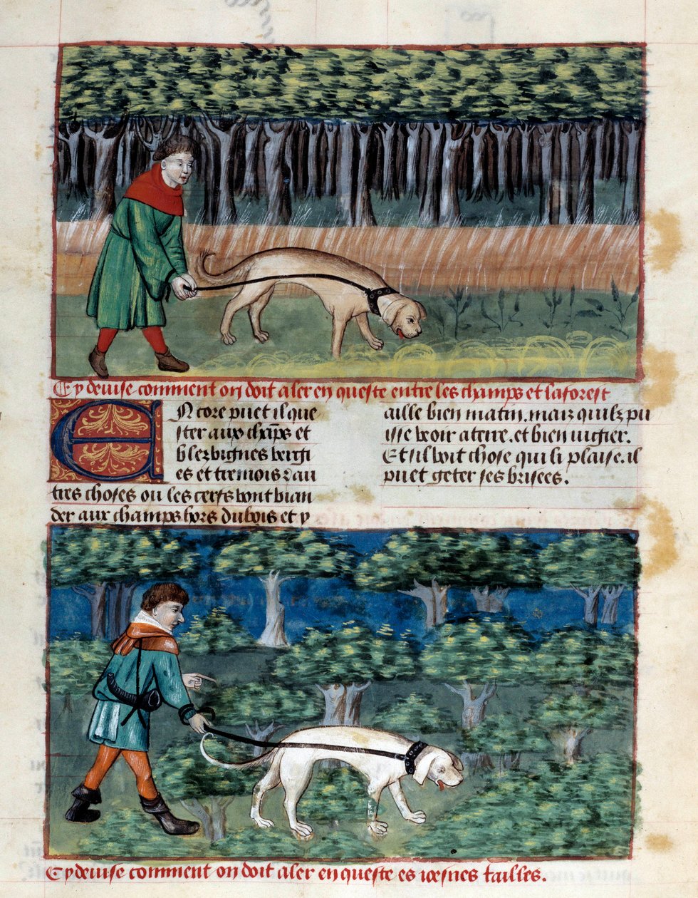 Hoe honden te leiden door Unknown artist