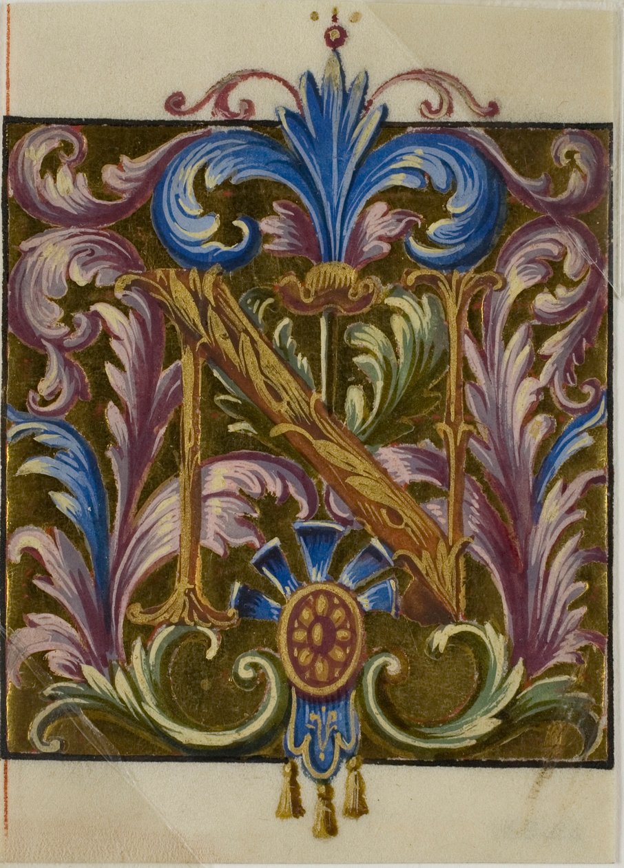 Verlichte initiaal "N" met acanthusbladeren uit een koorboek door Unknown artist