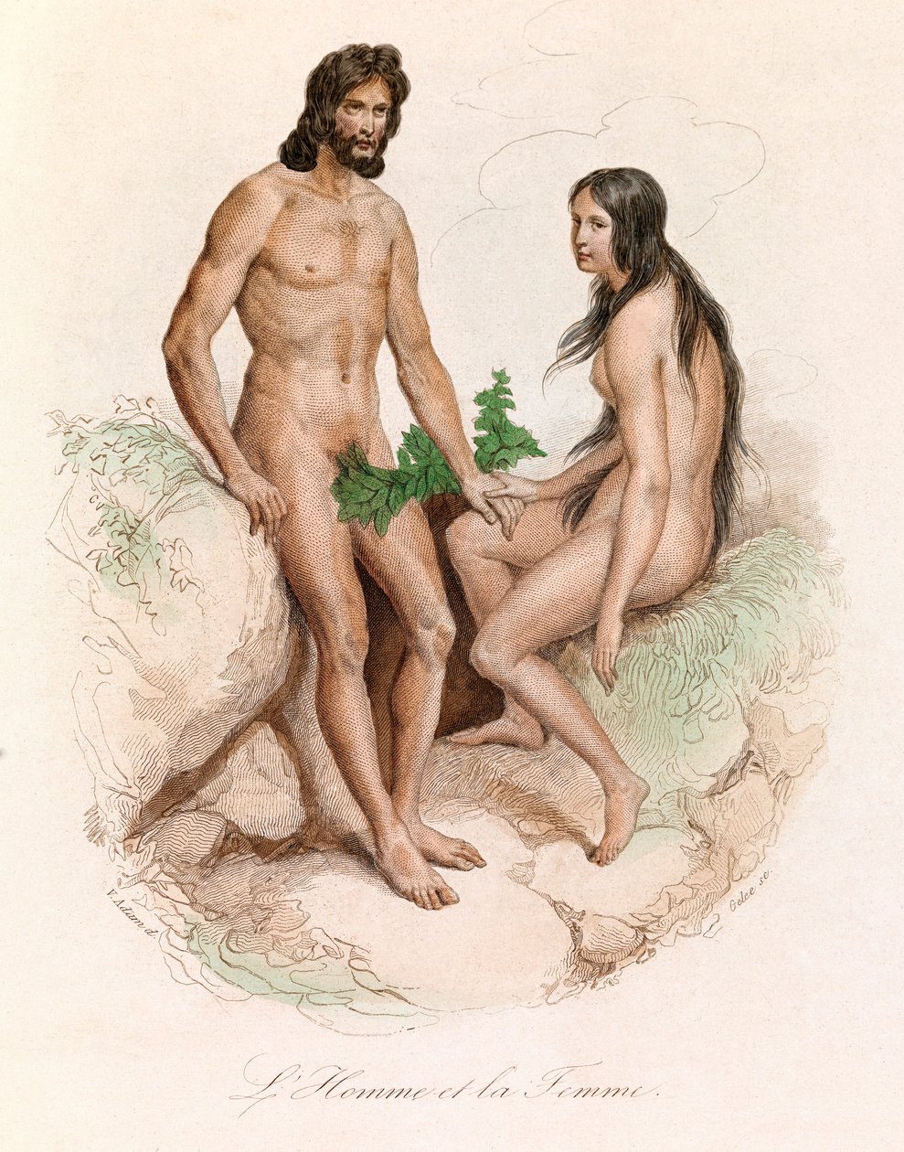 Illustratie uit het boek "Complete Works of Buffon": Natuurlijke geschiedenis van de mens: Man en vrouw (gravure) door Unknown artist