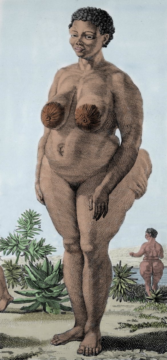 La Venus Hottentote, vrouw van het Bochiman-ras; gravure uit 1815. door Unknown artist