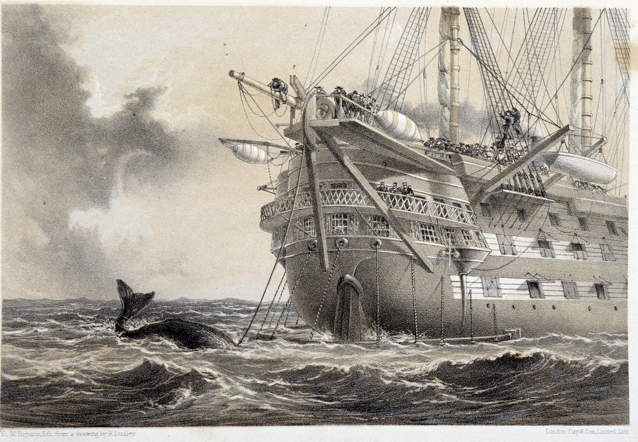 Het leggen van de Atlantische telegraafkabel, een walvis rond de boot door Unknown artist