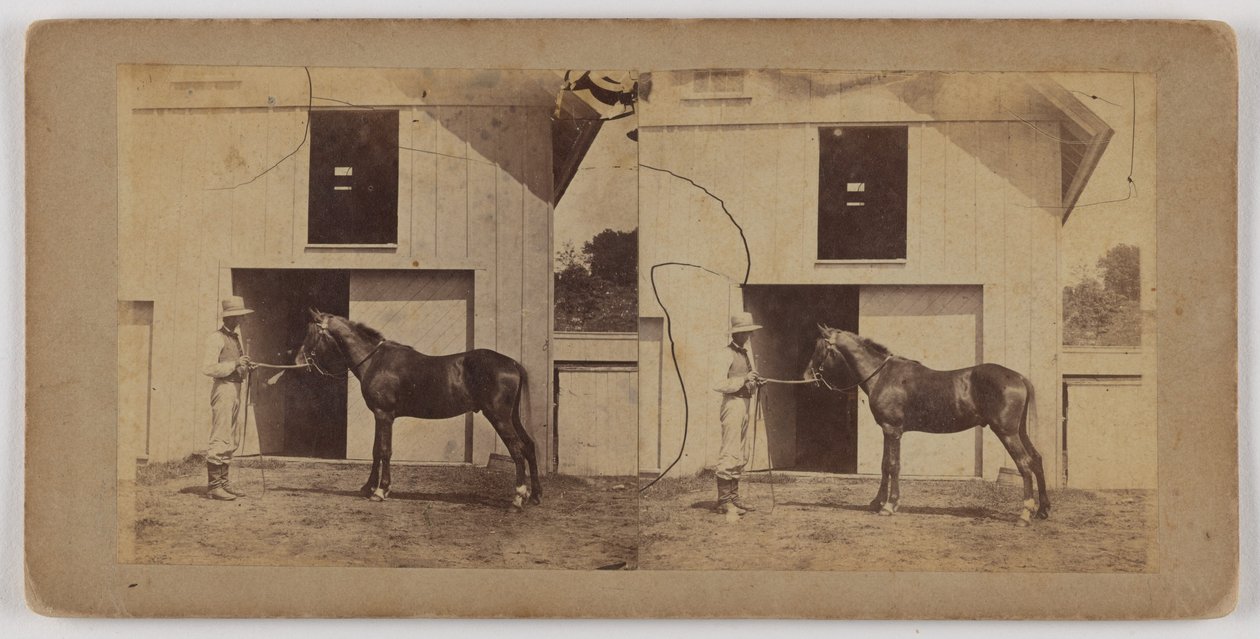[Man die paard bij hoofdstel vasthoudt] door Unknown artist