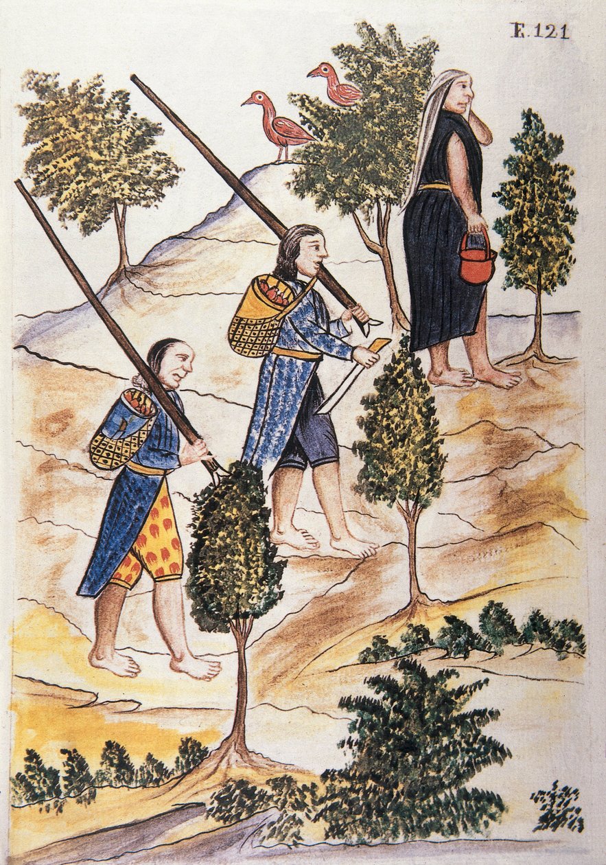 Motilones-indianen gaan jagen, uit het boek "Trujillo del Peru" of "Códice Martínez Compañón", door Baltazar Martinez Compañón y Bujanda, bisschop van Trujillo (1782-1785) door Unknown artist