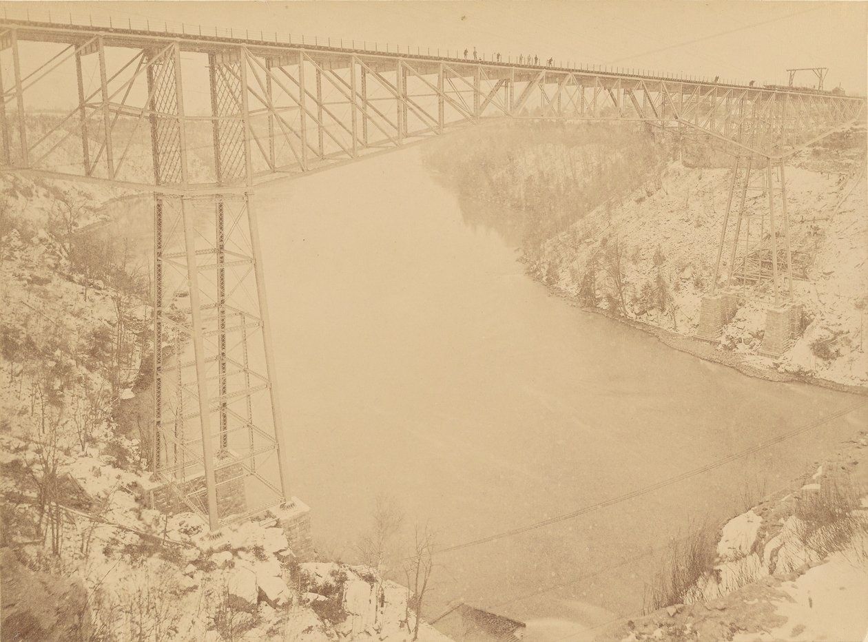 Niagara door Unknown artist