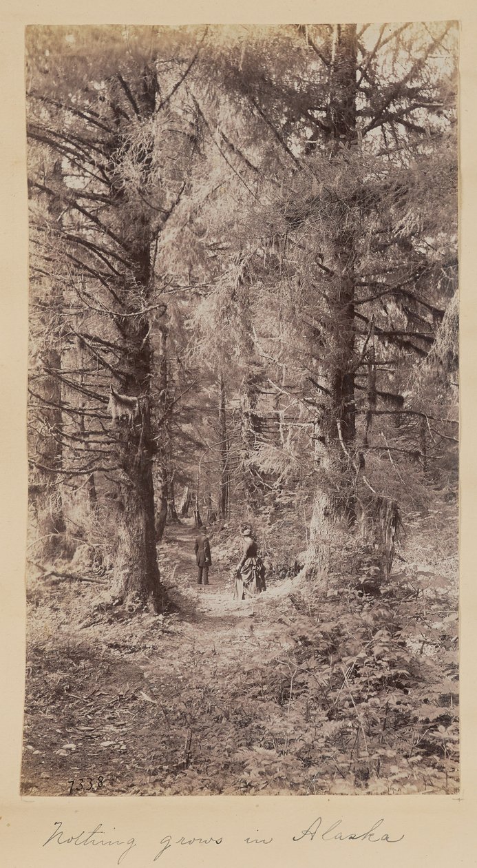 Niets groeit in Alaska door Unknown artist