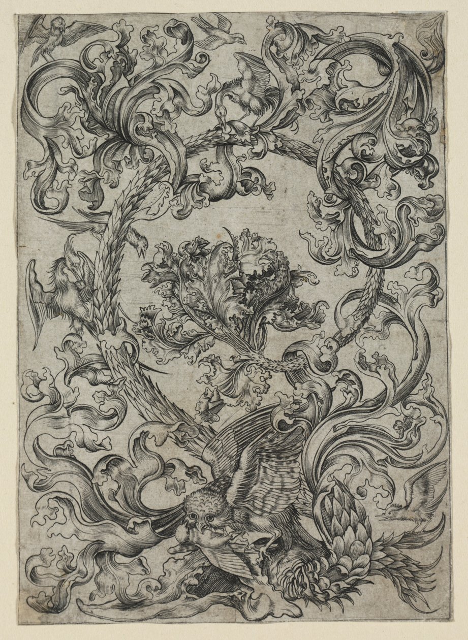 Ornamentaal Bladwerk, met een Uil en andere Vogels door Unknown artist