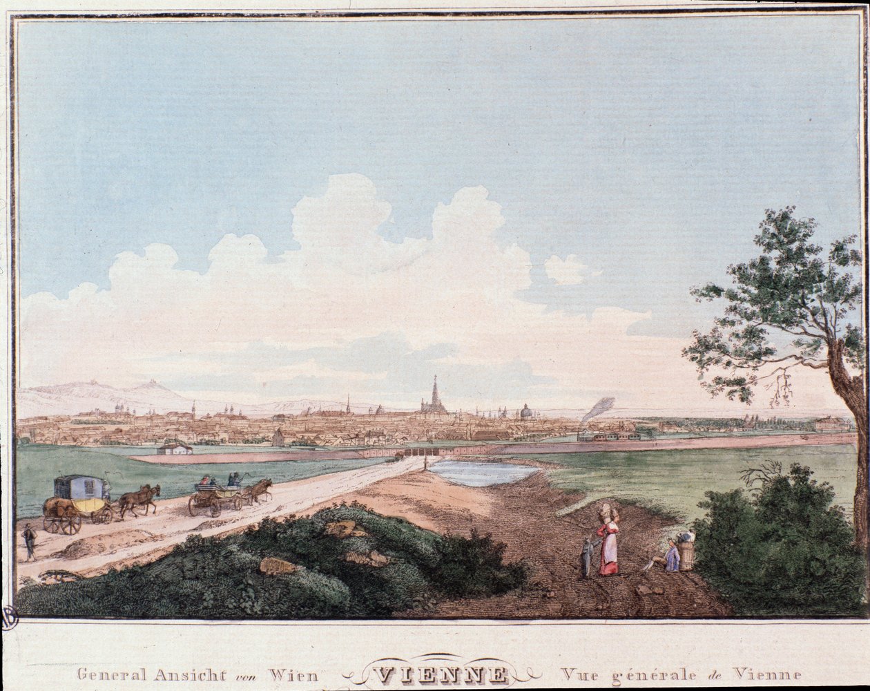 Overzicht van de stad Wenen met brug over de Donau. Oostenrijk Gravure uit 1830 Privécollectie door Unknown artist
