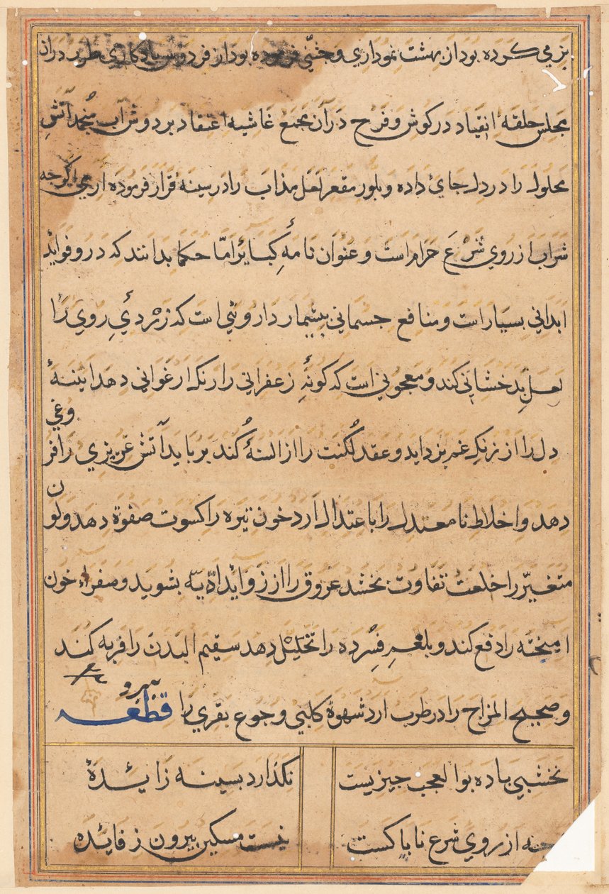 Pagina uit Verhalen van een Papegaai (Tuti-nama): tekstpagina door Unknown artist