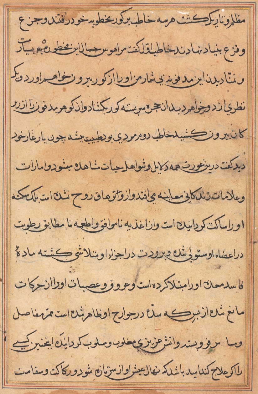 Pagina uit Verhalen van een Papegaai (Tuti-nama): tekstpagina door Unknown artist