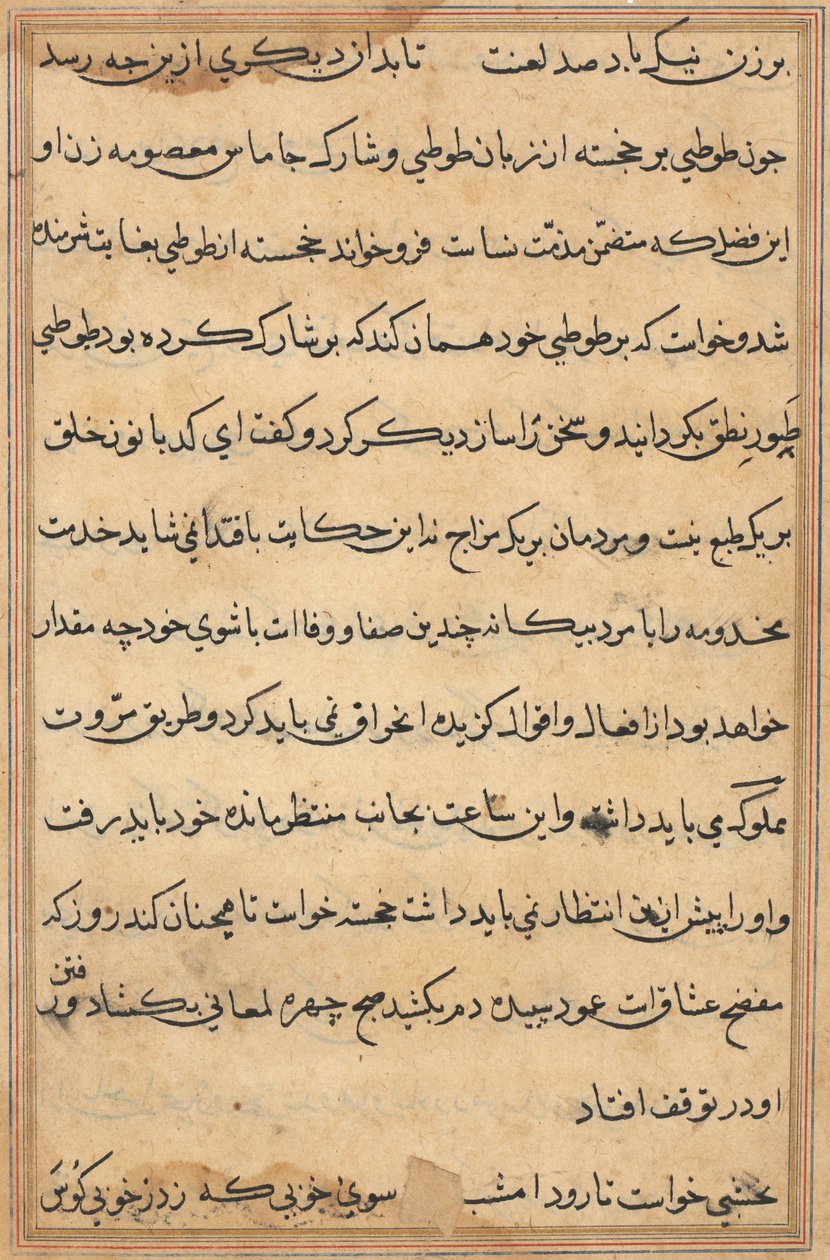 Pagina uit Verhalen van een Papegaai (Tuti-nama): tekstpagina door Unknown artist