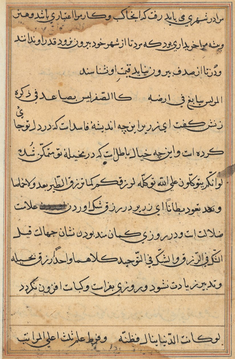 Pagina uit Verhalen van een Papegaai (Tuti-nama): tekstpagina door Unknown artist