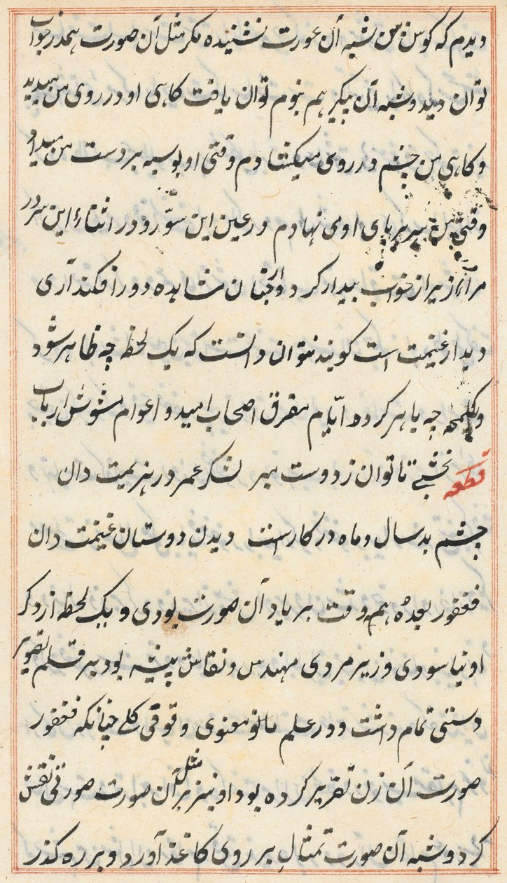 Pagina uit Verhalen van een Papegaai (Tuti-nama): tekstpagina door Unknown artist
