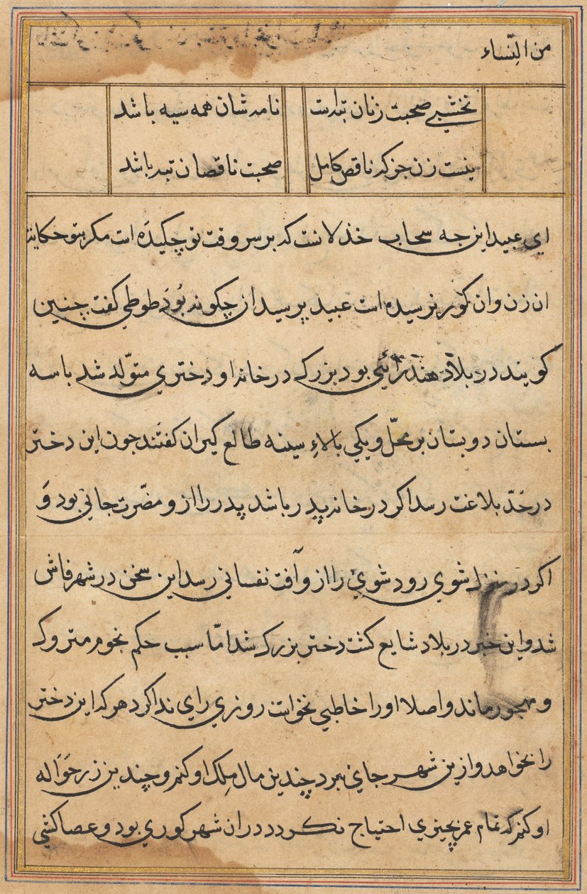 Pagina uit Verhalen van een Papegaai (Tuti-nama): tekstpagina door Unknown artist