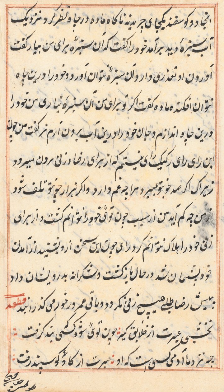 Pagina uit Verhalen van een Papegaai (Tuti-nama): tekstpagina door Unknown artist