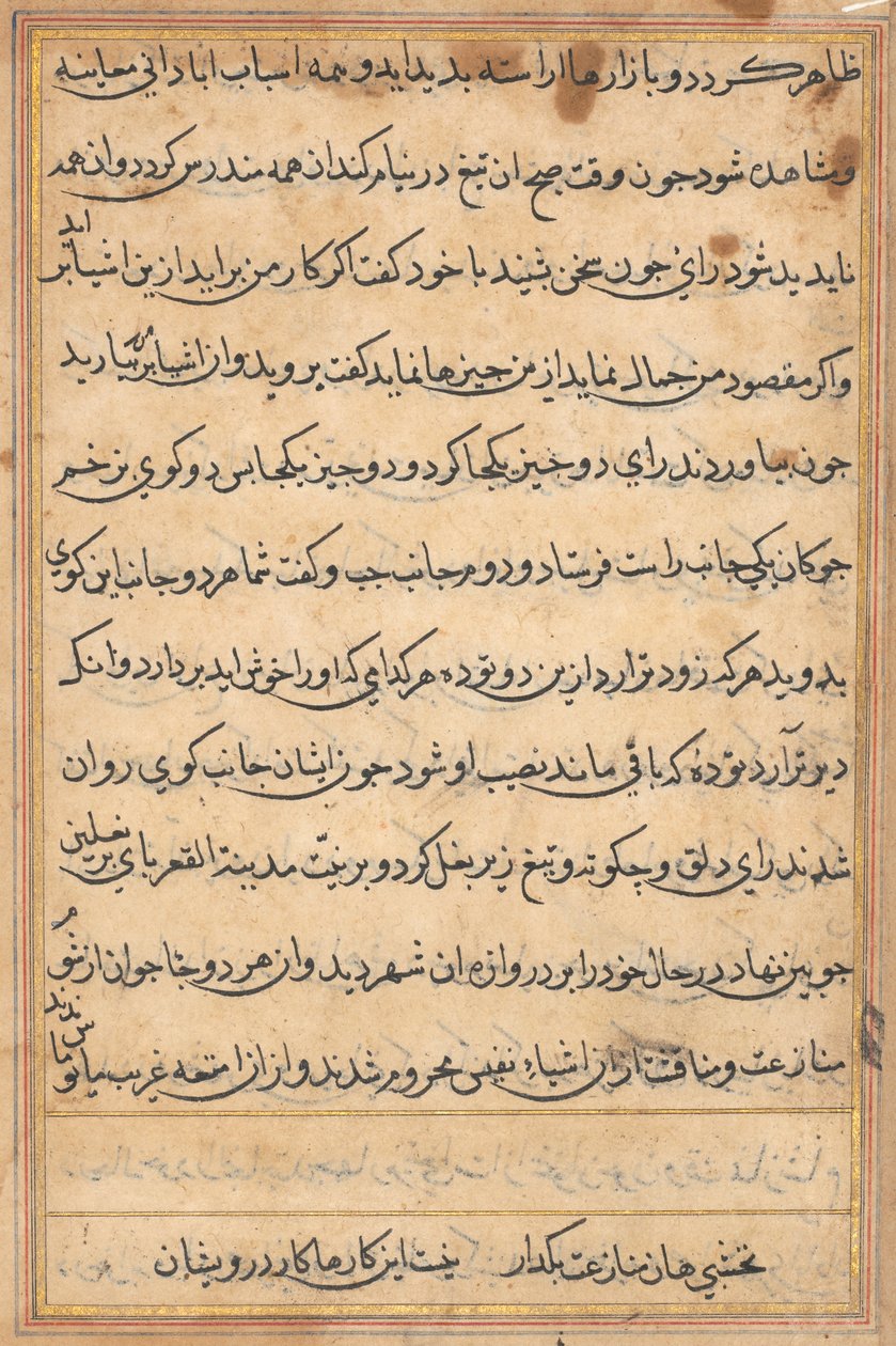 Pagina uit Verhalen van een Papegaai (Tuti-nama): tekstpagina door Unknown artist
