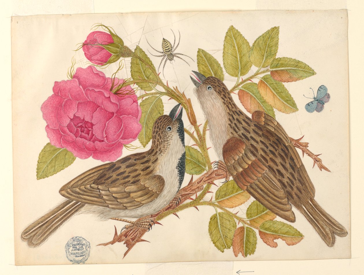 Paar Bruine Vogels op Rozenstam met Vlinder en Spin door Unknown artist