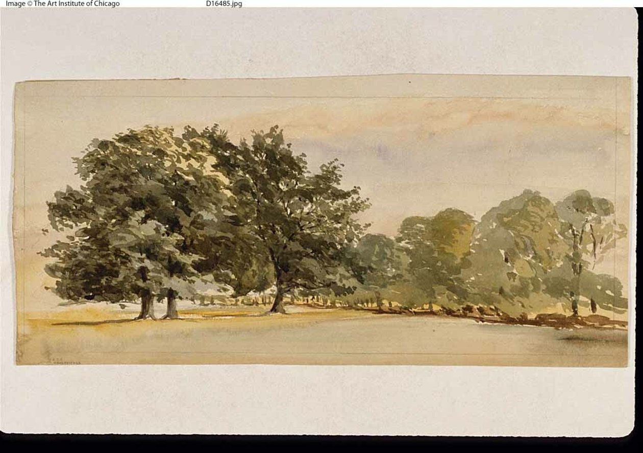Panorama van een bosrijk bos (recto); landschap met bos rechts (verso) door Unknown artist