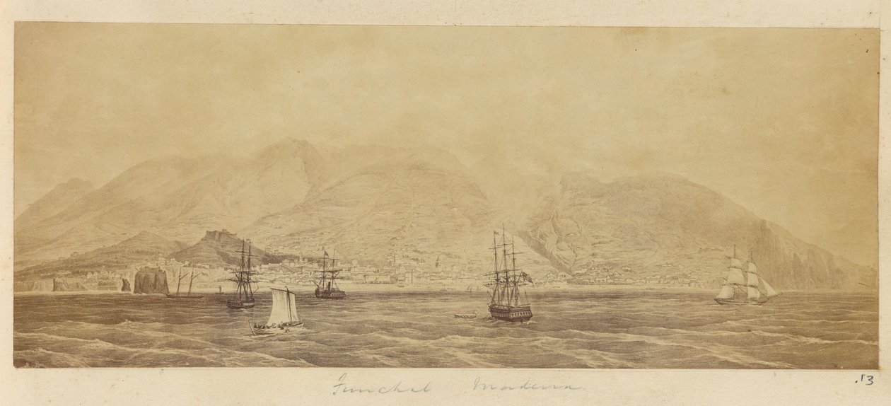 [Panorama van de haven, Funchal, Madeira]. door Unknown artist