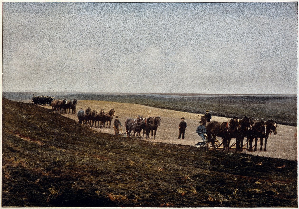 Ploegen op de Manitoba-vlaktes (Canada), eind 19e eeuw door Unknown artist