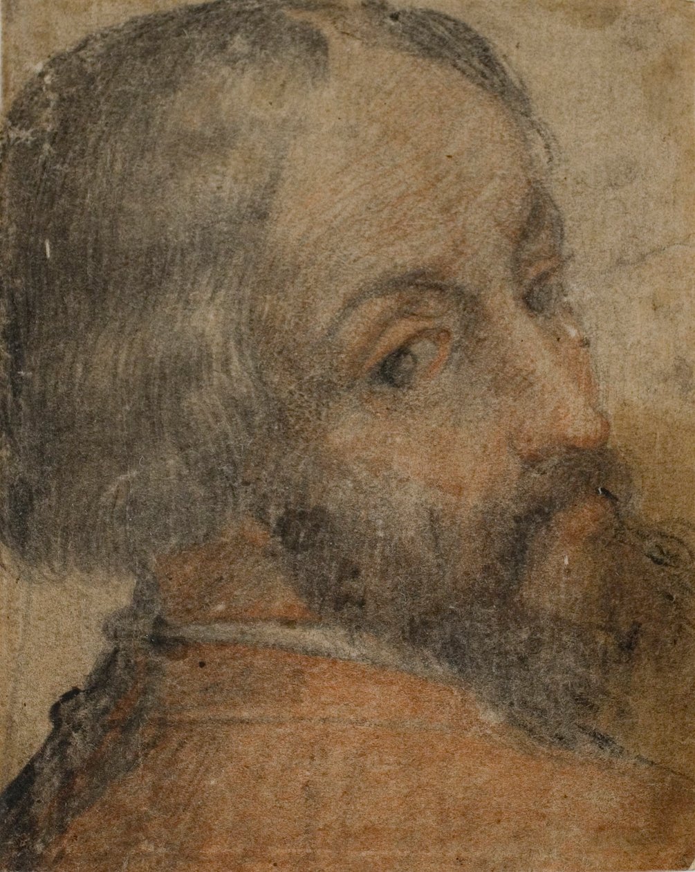 Portret van een man met een baard (Lodovico Ariosto) door Unknown artist