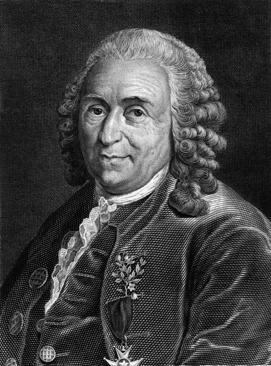 Portret van Carl Von Linné Zweedse natuuronderzoeker en schrijver (1707 - 1778). Gravure uit de 19e eeuw. door Unknown artist