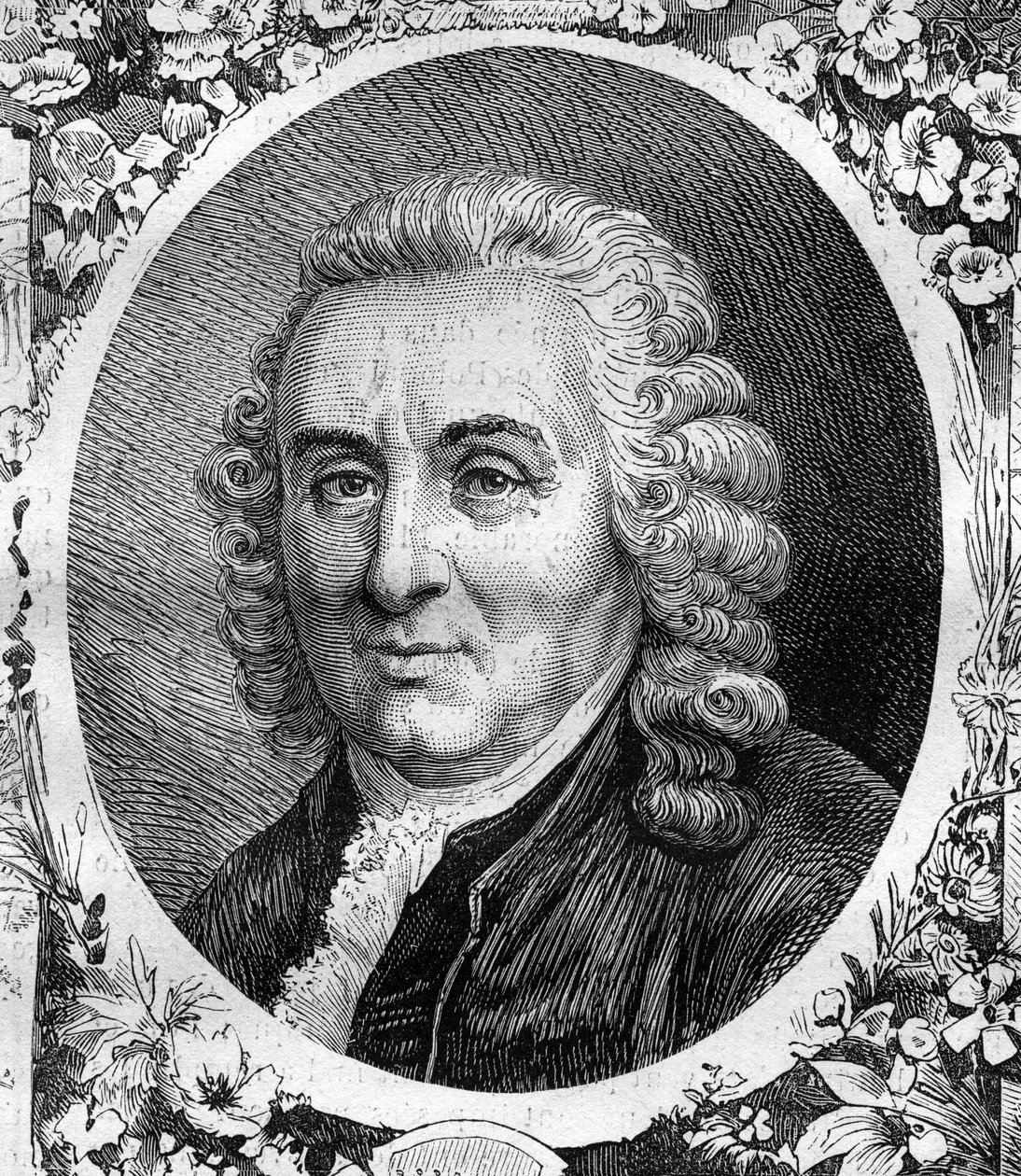 Portret van Charles Linné (Carl von Linné, Carl Linnaeus) (1707-1778), Zweedse natuuronderzoeker. Gravure uit 1878. door Unknown artist
