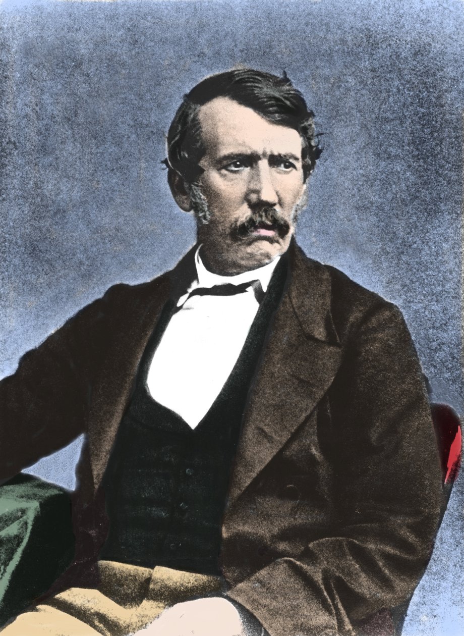 Portret van David Livingstone, Schotse missionaris en ontdekkingsreiziger door Unknown artist