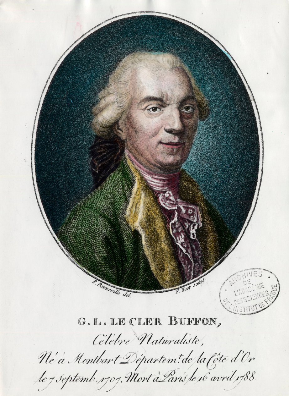Portret van George Louis Le Clerc, Graaf van Buffon door Unknown artist