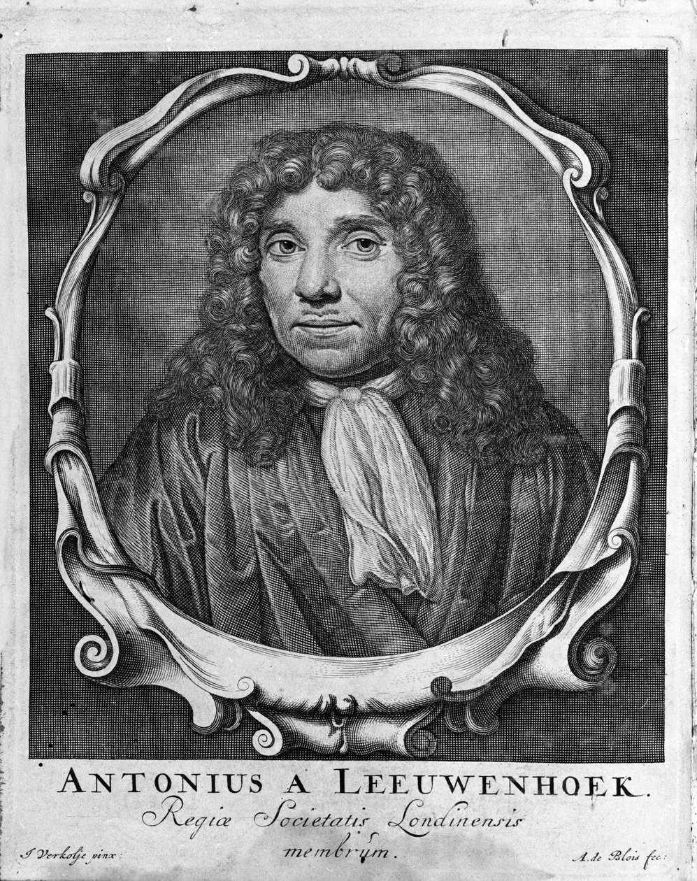 Portret van de Nederlandse handelaar en geleerde Antoine van Leeuwenhoek (1632-1723) (gravure uit 