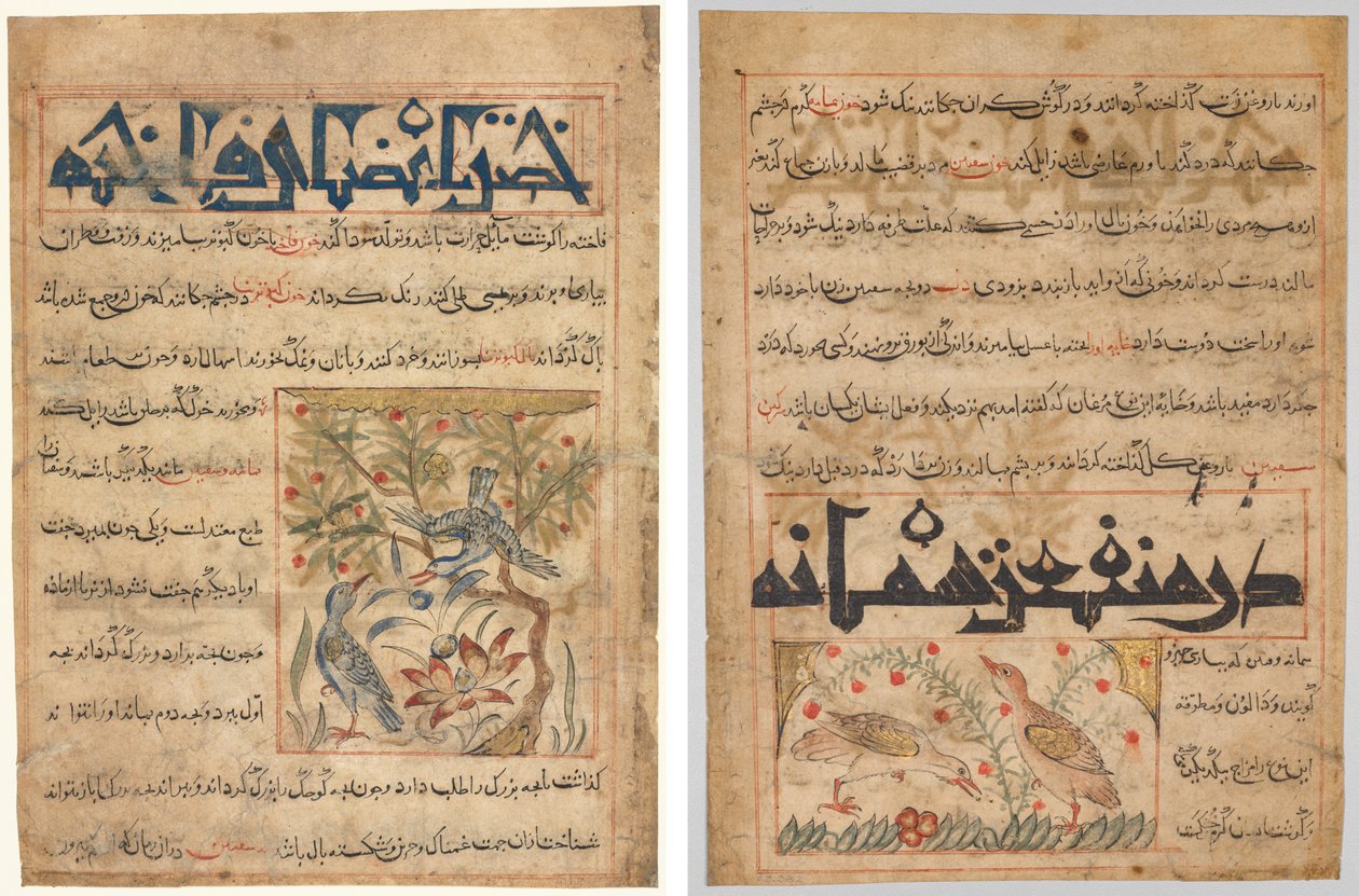 Eigenschappen van ringduiven (recto); Over de voordelen van kwartels (verso), uit een Perzische Manafi‘ al-Hayawan (De voordelen van dieren) van Abu Said Ubaid-Allah ibn Jibrail ibn Bakhtishu (overleden 1058–68) door Unknown artist
