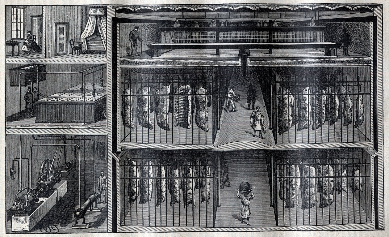 Koelruimtes voor vlees - Gravure uit 