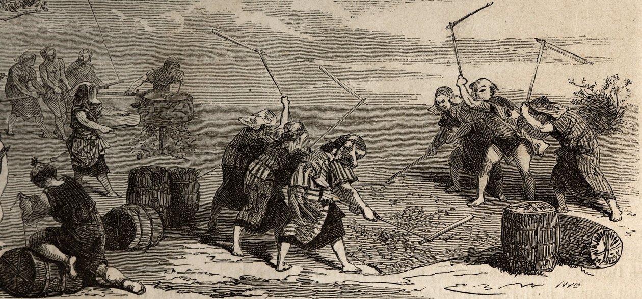 Rijstteelt: laatste stap, met behulp van de bloem en molen worden de rijstkorrels gescheiden van hun stengel en schil, en vervolgens zorgvuldig opgeslagen in gevlochten strodozen. Gravure ter illustratie van de reis naar Japan in 1863-1864, door Aime Humb door Unknown artist