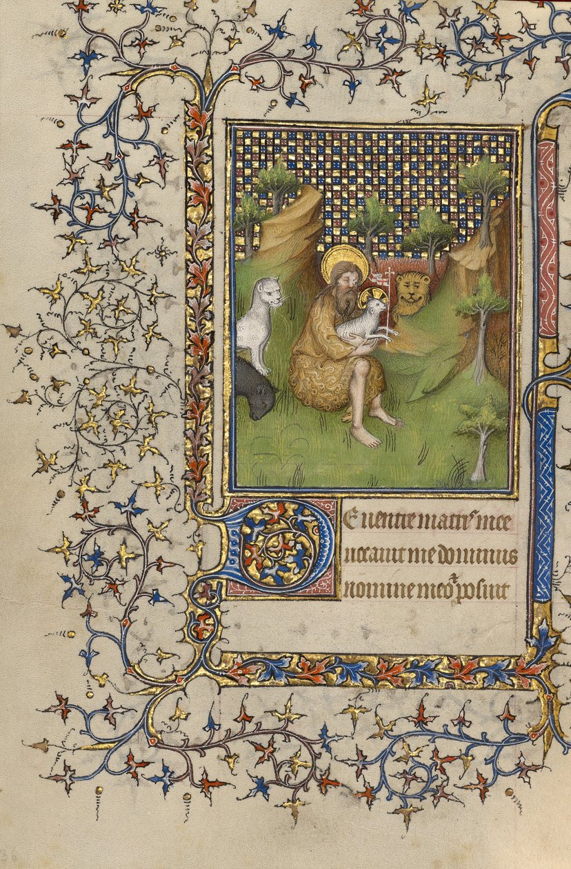 Johannes de Doper in de woestijn door Unknown artist