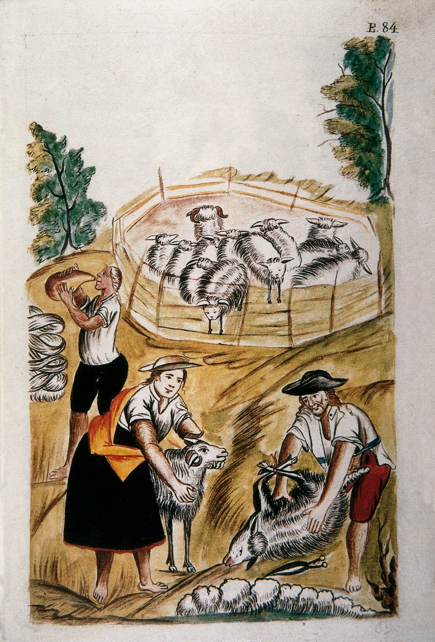 Schapenscheren, uit het boek 