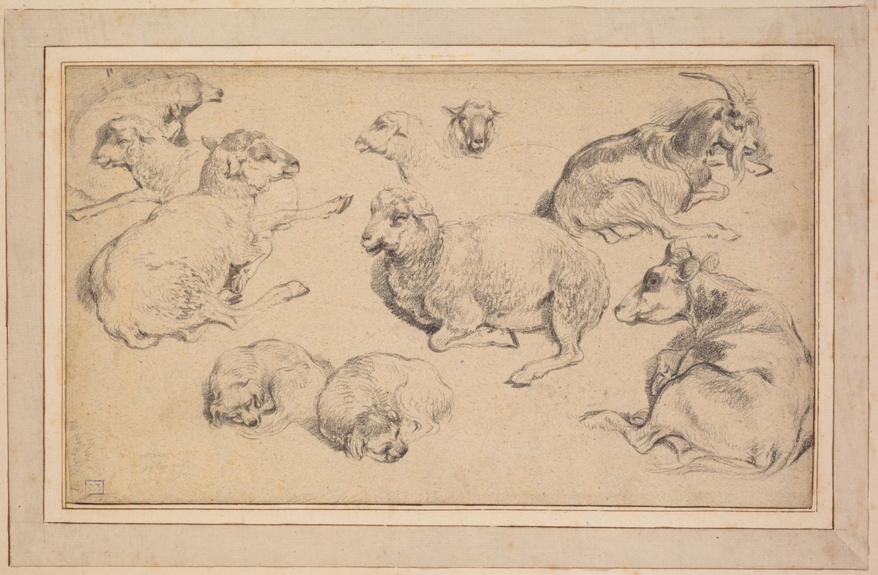 Blad met studies van schapen, geiten en honden door Unknown artist