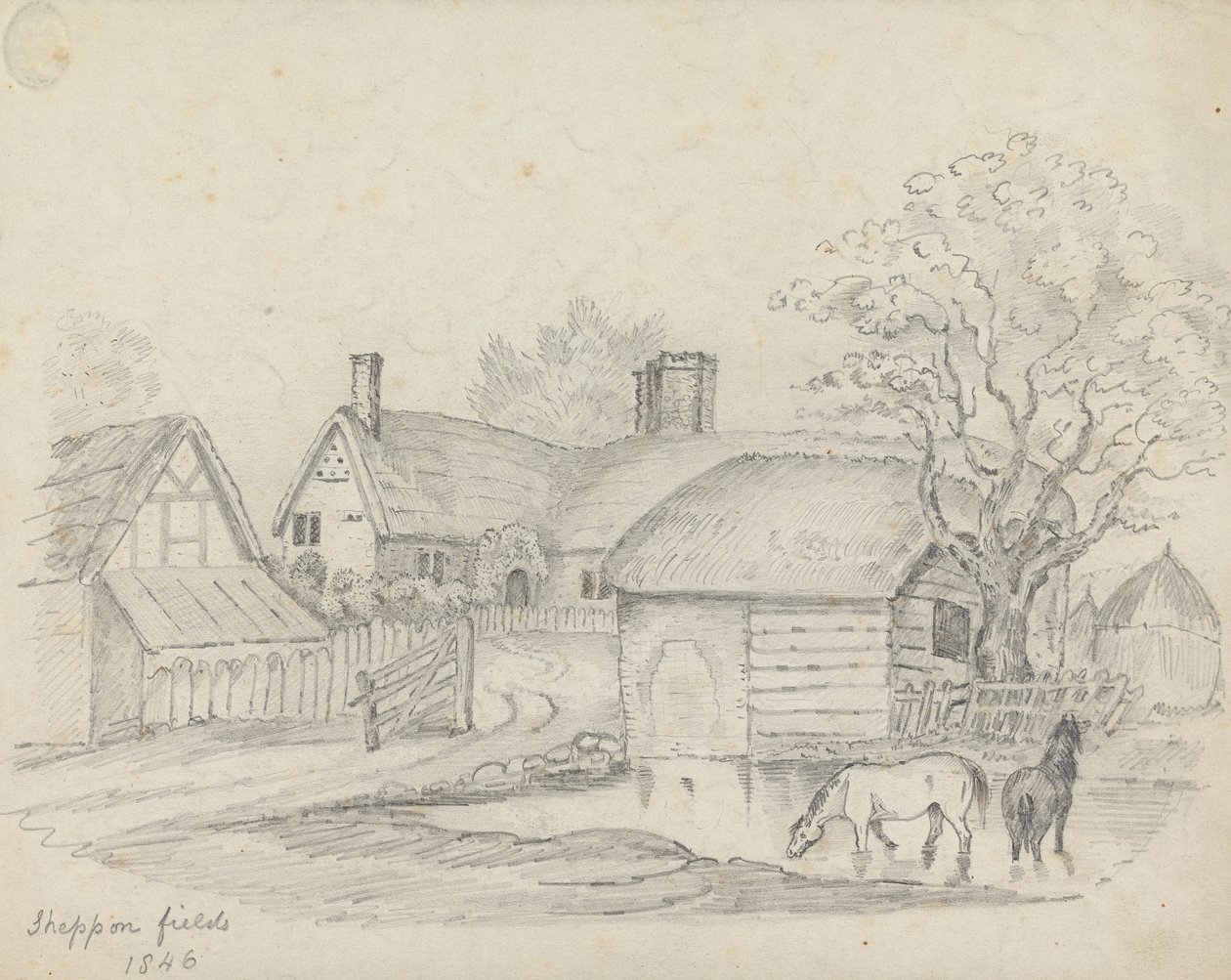 "Sheppon Fields" door Unknown artist