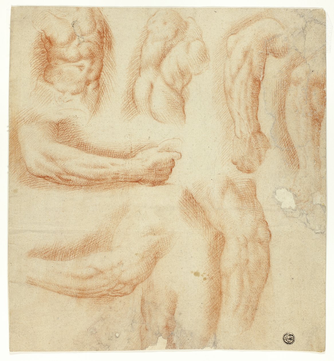 Schetsen van armen, mannelijke romp en rug door Unknown artist