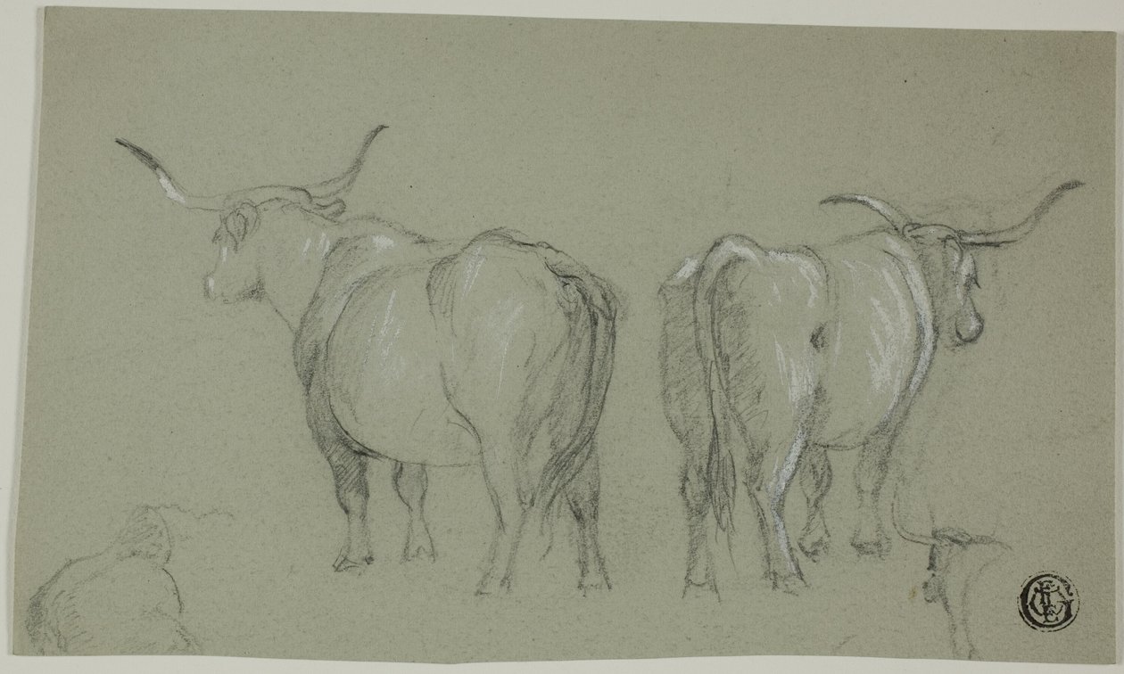 Schetsen van Witte Runderen uit de Maremma door Unknown artist