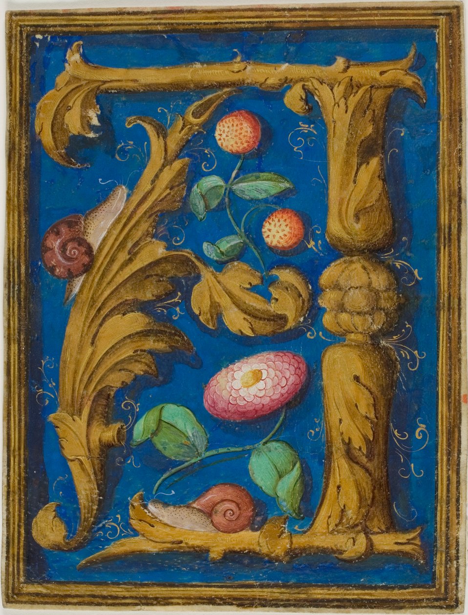 Slakken, aardbeien en een bloem in een versierde initiaal "A" uit een manuscript door Unknown artist
