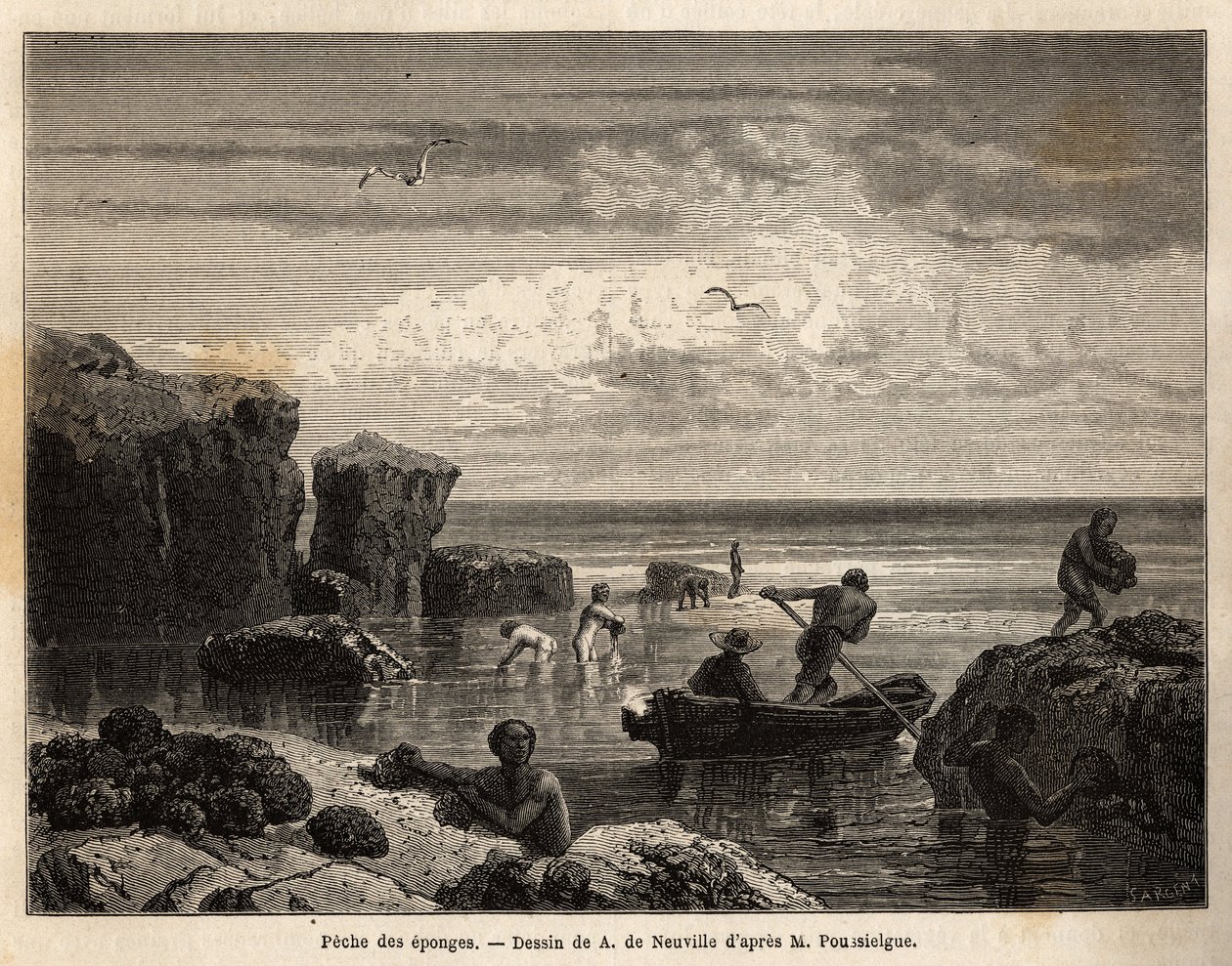 Sponsvissen door de eilandbewoners van Anastasia Island door Unknown artist
