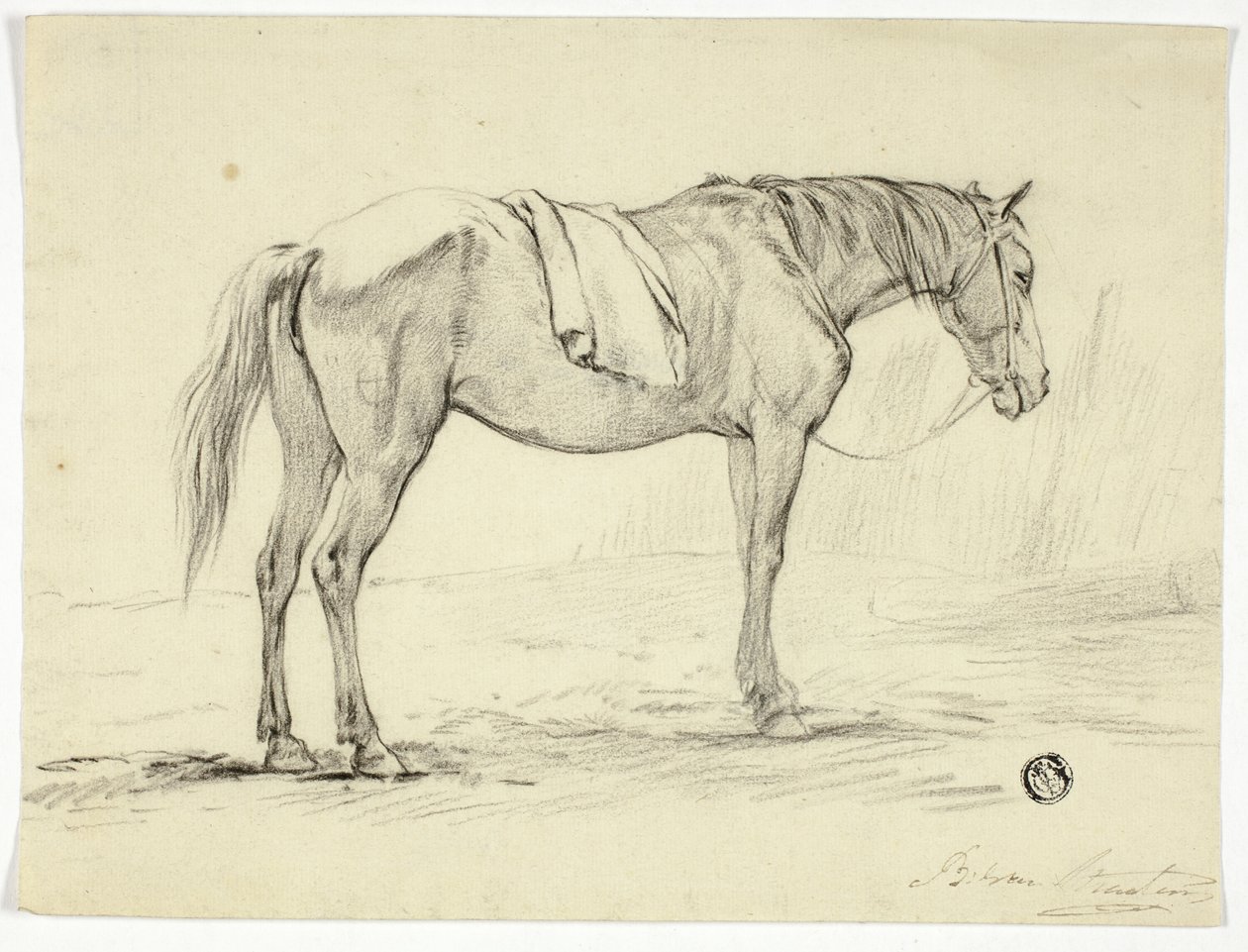 Staand Paard door Unknown artist